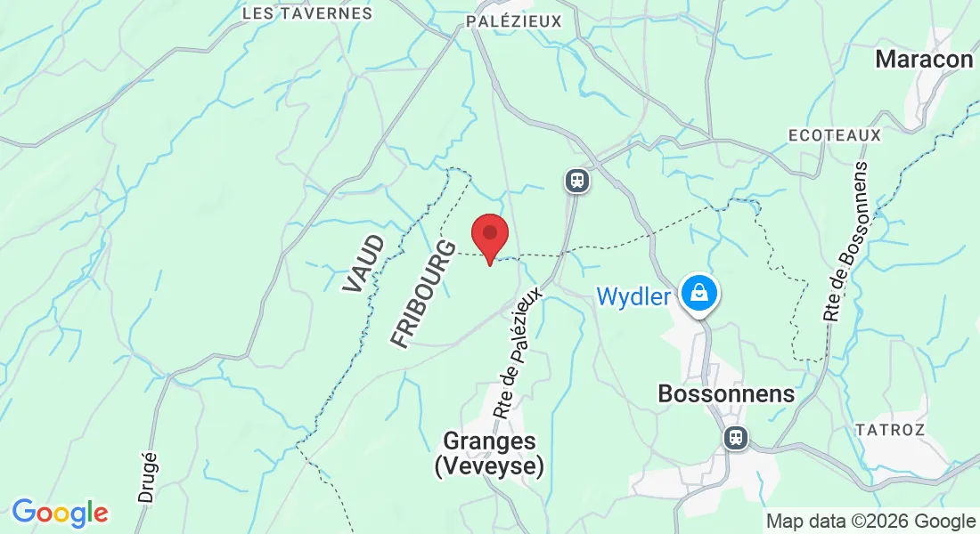 Rte de Pra-Charbon 34A, 1614 Granges (Veveyse), Suisse