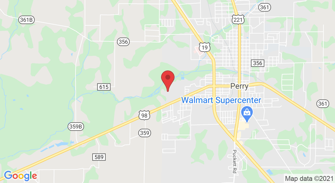 Jenkins Rd, Perry, FL 32347, EE. UU.
