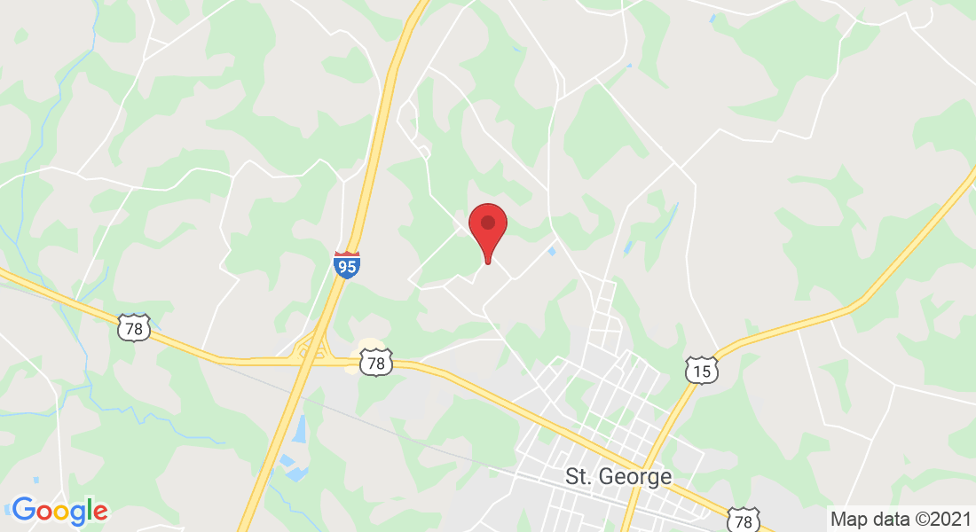137 Hudson Rd, St George, SC 29477, EE. UU.