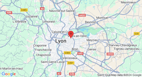 69100 Villeurbanne, France