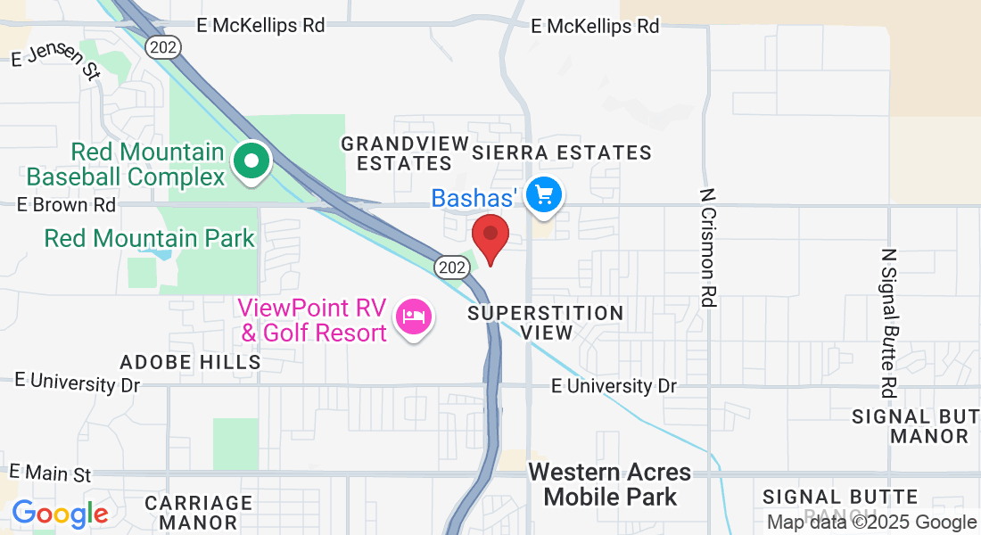 924 N 90th Pl, Mesa, AZ 85207, USA