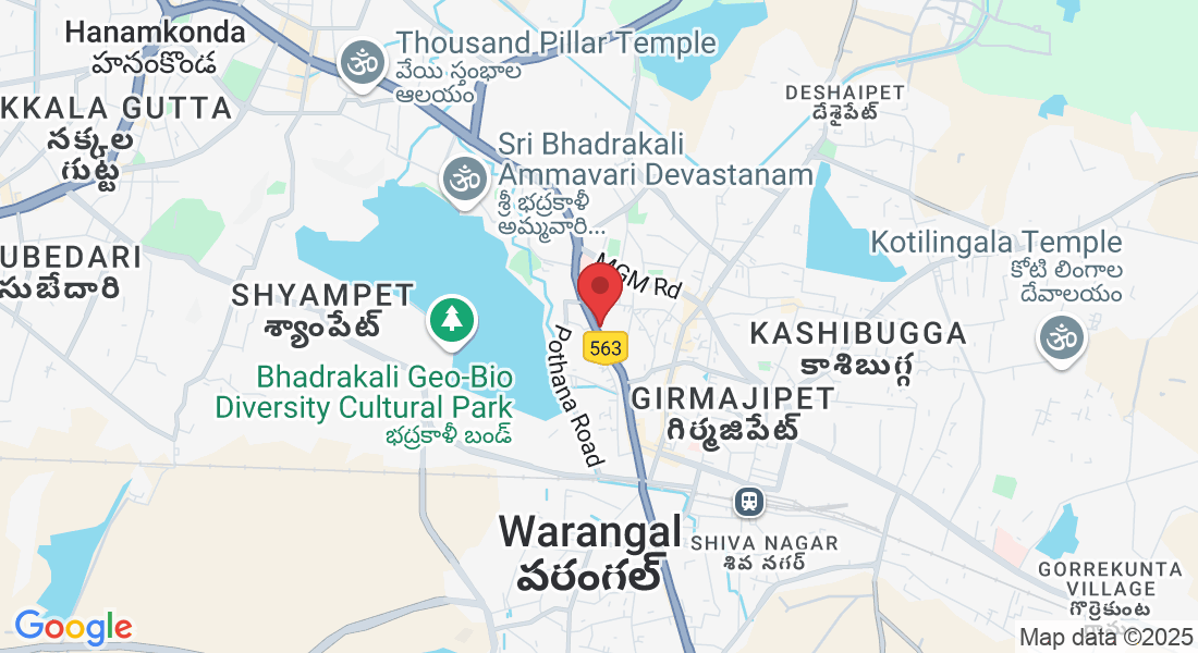 Matawada High School, Mattewada, Sherpura, Warangal, Telangana 506002, India