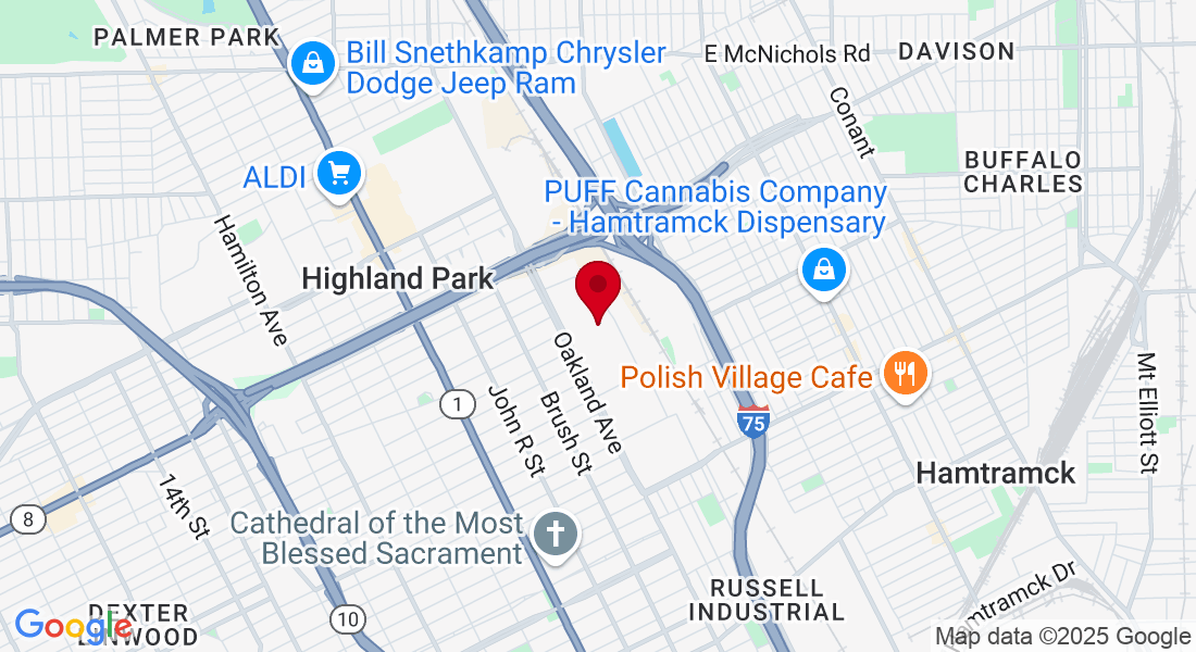 12575 Oakland Park Blvd, Highland Park, MI 48203, USA