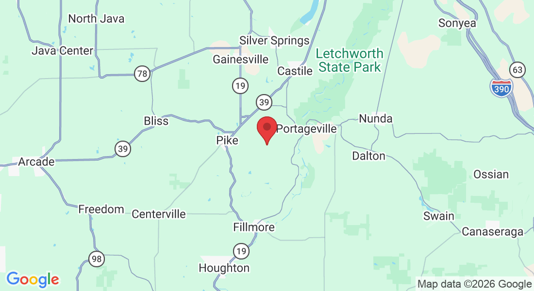 7350 Tenefly Rd, Portageville, NY 14536, USA