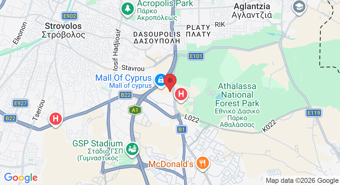 Verginas 1, Strovolos 2030, Cyprus
