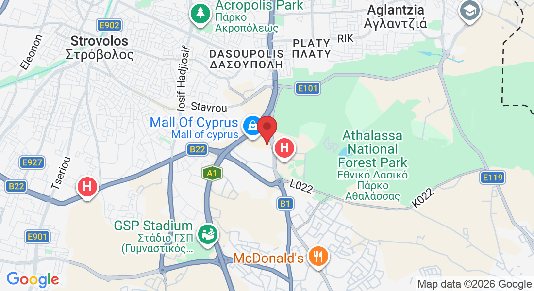 Verginas 1, Strovolos 2030, Cyprus