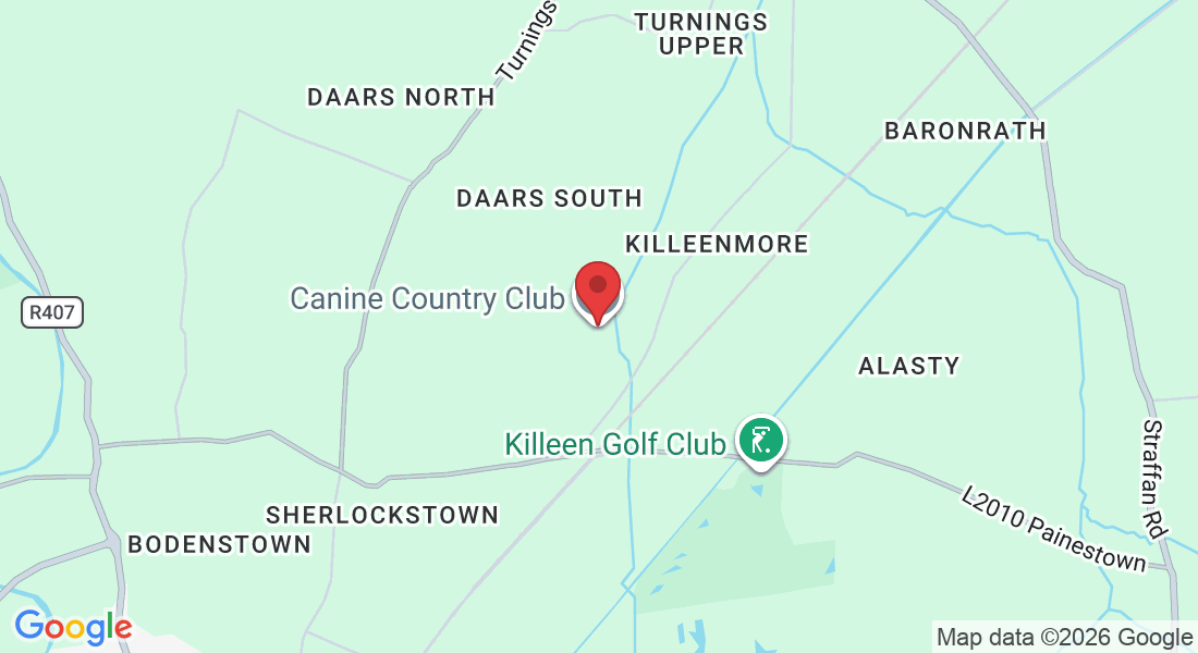 Canine Country Club and Cattery, Killeenmore, Sallins, Co. Kildare, W91 PD98, Ireland