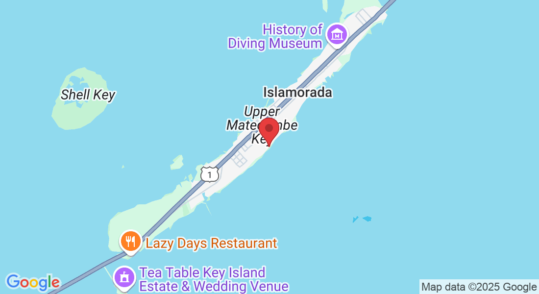 Cheeca Lodge & Spa, 81801 Overseas Hwy, Islamorada, FL 33036, USA