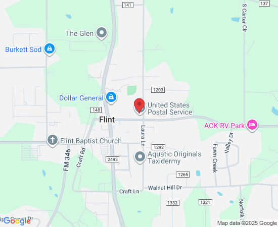 10678 Farm to Market Rd 346, Flint, TX 75762, USA