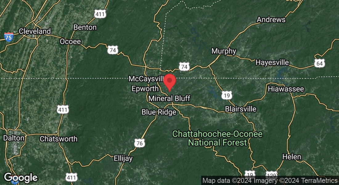 1061 Hardscrabble Rd, Mineral Bluff, GA 30559, USA