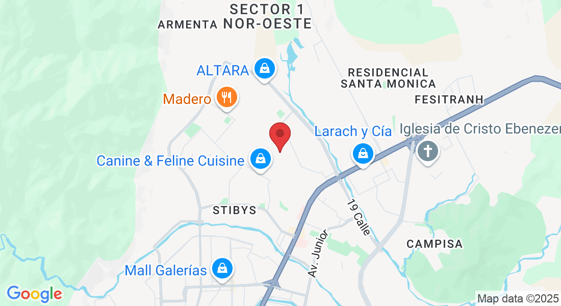 Col Los Alamos, HX2J+J6P, 21102 San Pedro Sula, Cortés, Honduras