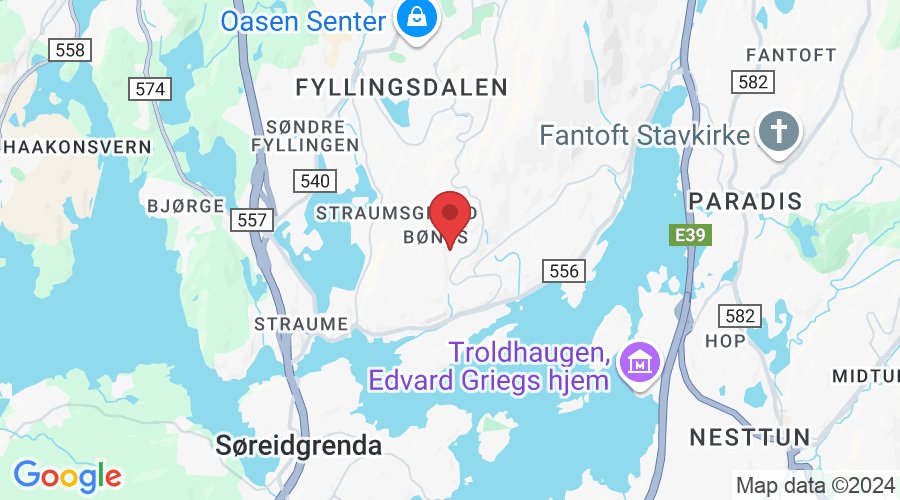 Fjellsdalen 1, 5155 Bønes, Norge