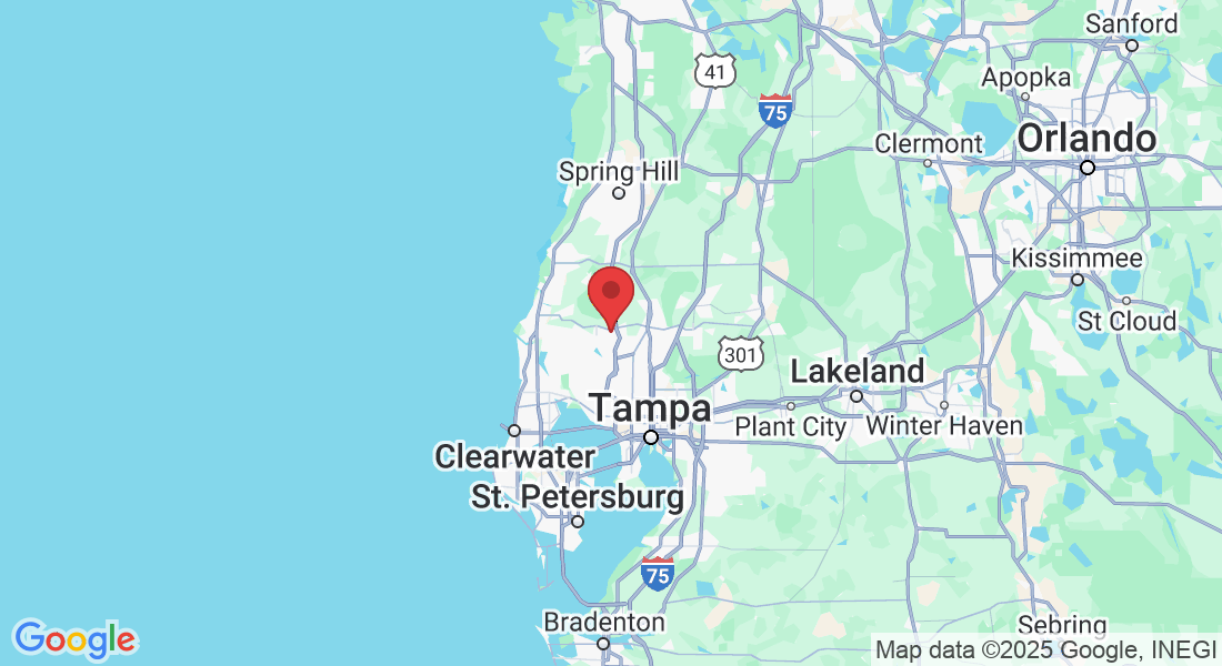 Odessa, FL, USA