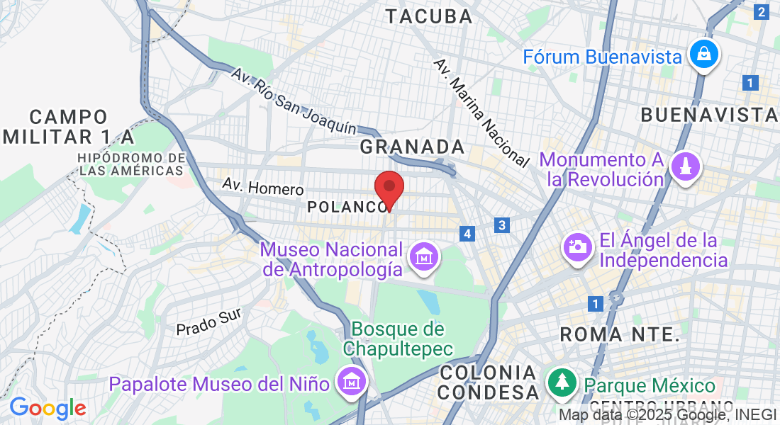 Av. Horacio 542, Polanco, Polanco V Secc, Miguel Hidalgo, 11560 Ciudad de México, CDMX, México