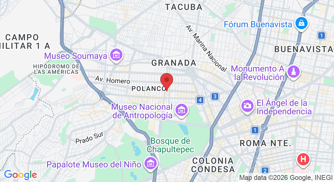 Av. Horacio 542, Polanco, Polanco V Secc, Miguel Hidalgo, 11560 Ciudad de México, CDMX, México
