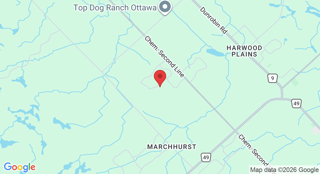137 Goodman Dr, Ottawa, ON K2W 1C7, Canada