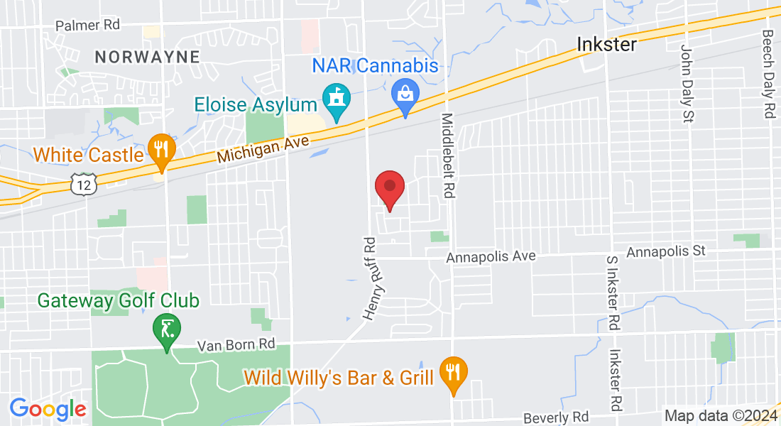 Wayne County, MI, USA