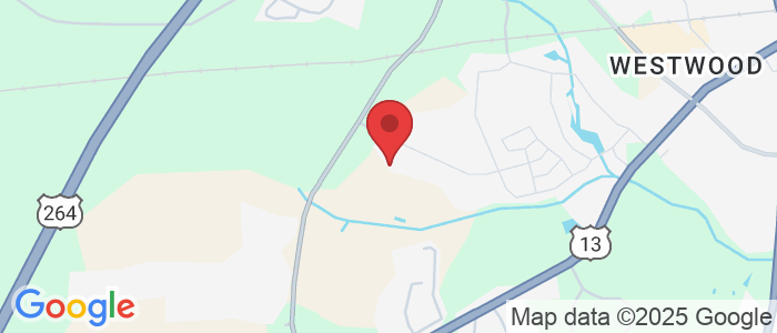 3405 Richter Wy, Greenville, NC 27834, USA