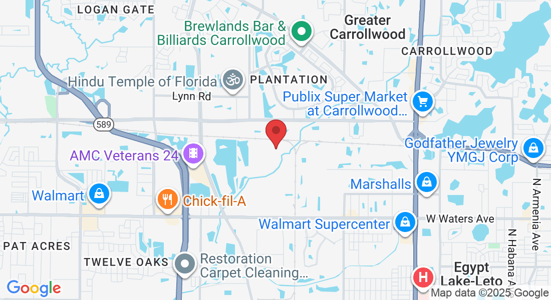 5202 Eagle Trail Dr, Tampa, FL 33634, USA