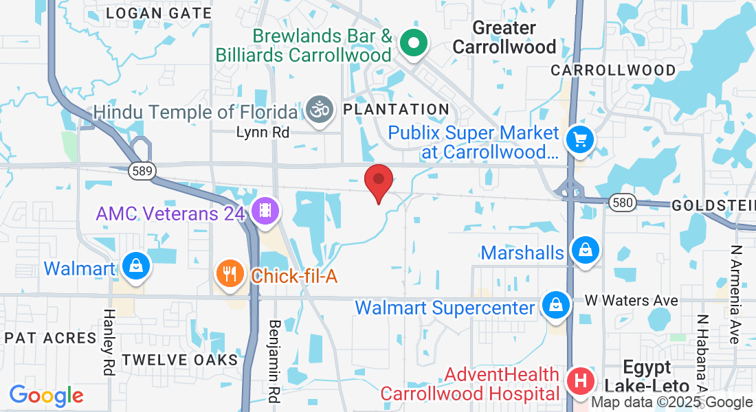 5202 Eagle Trail Dr, Tampa, FL 33634, USA