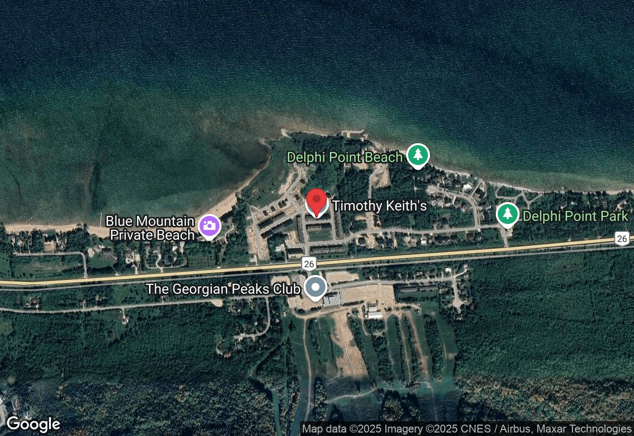119 Addison St, The Blue Mountains, ON N0H 1J0, Canada