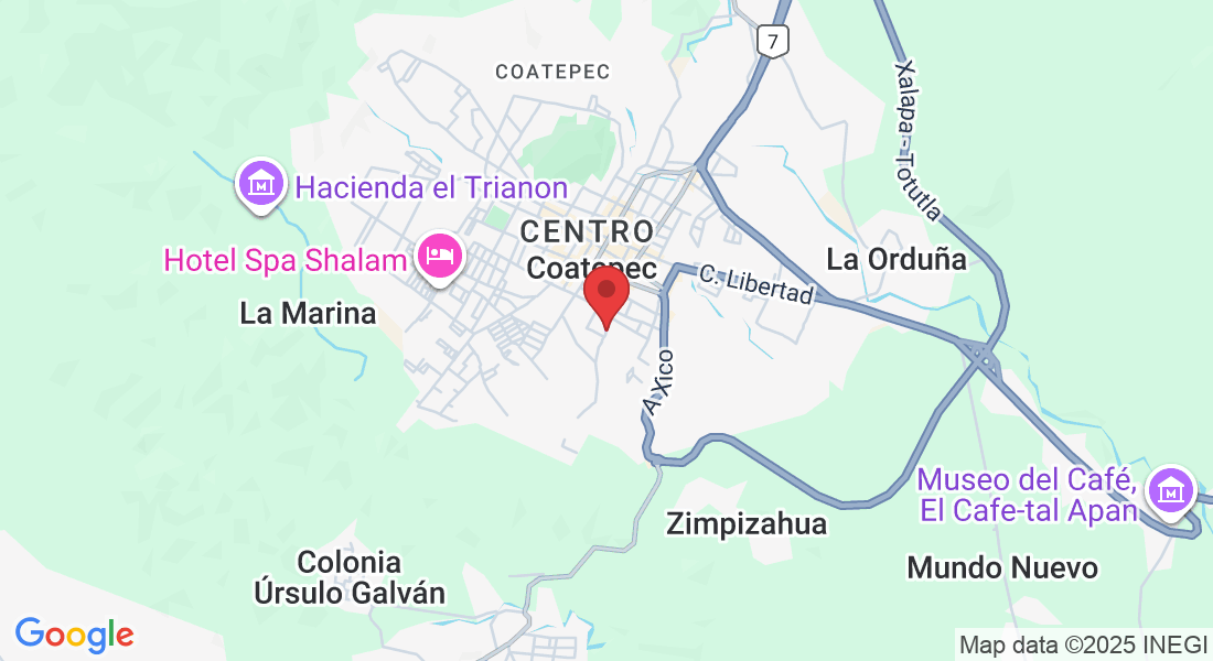 16 de Septiembre 163, Centro, 91500 Coatepec, Ver., México