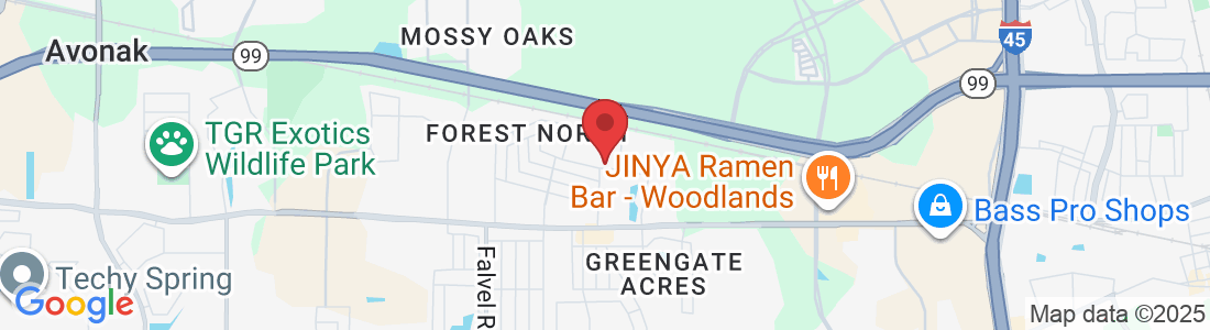 3330 Peachstone Pl, Spring, TX 77389, USA