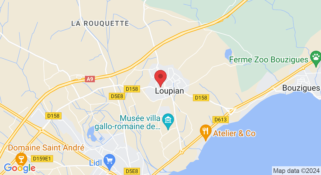 26 Rue Emile Combes, 34140 Loupian, France
