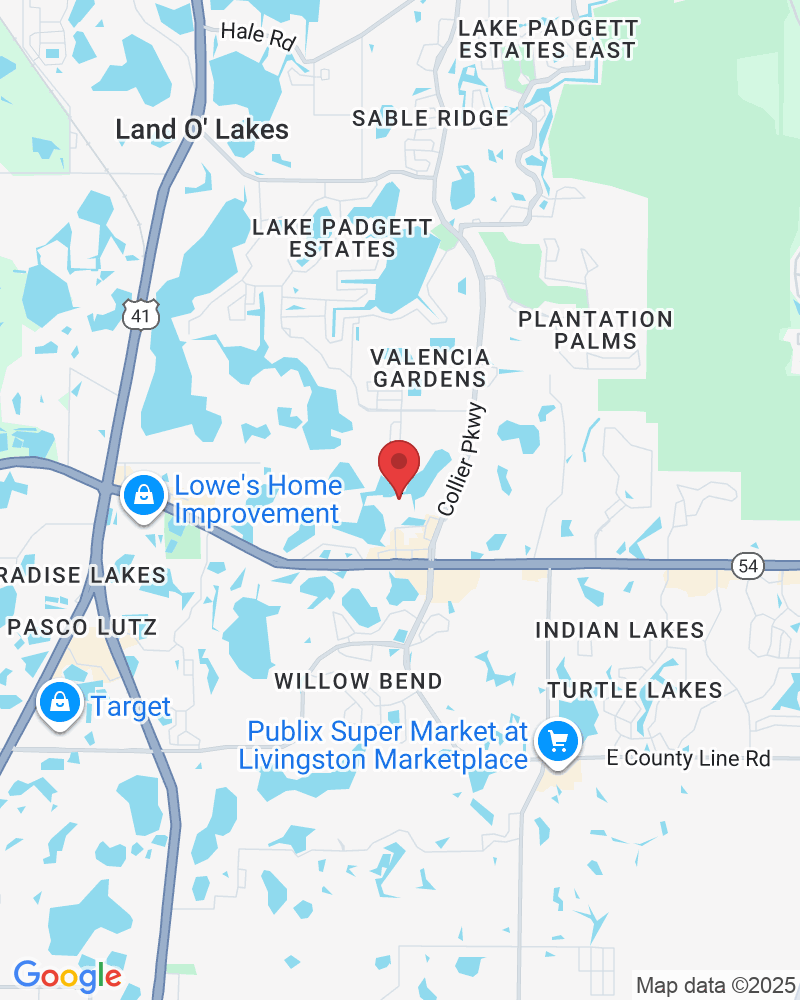 22924 Chesterview Loop, Land O' Lakes, FL 34639, USA