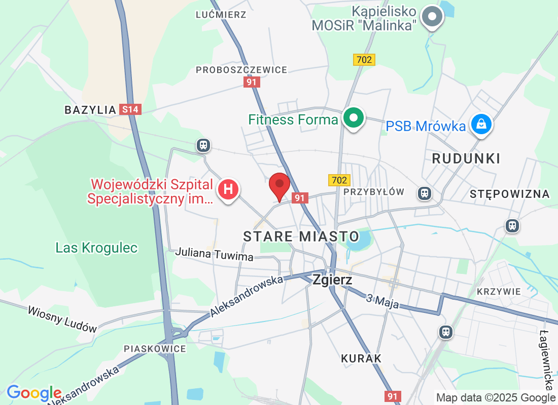 Bazylijska 39G, 95-100 Zgierz, Polska