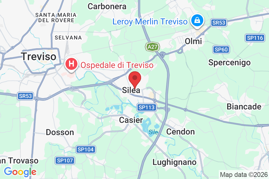 Via Don G. Minzoni, 8, 31057 Silea TV, Italy