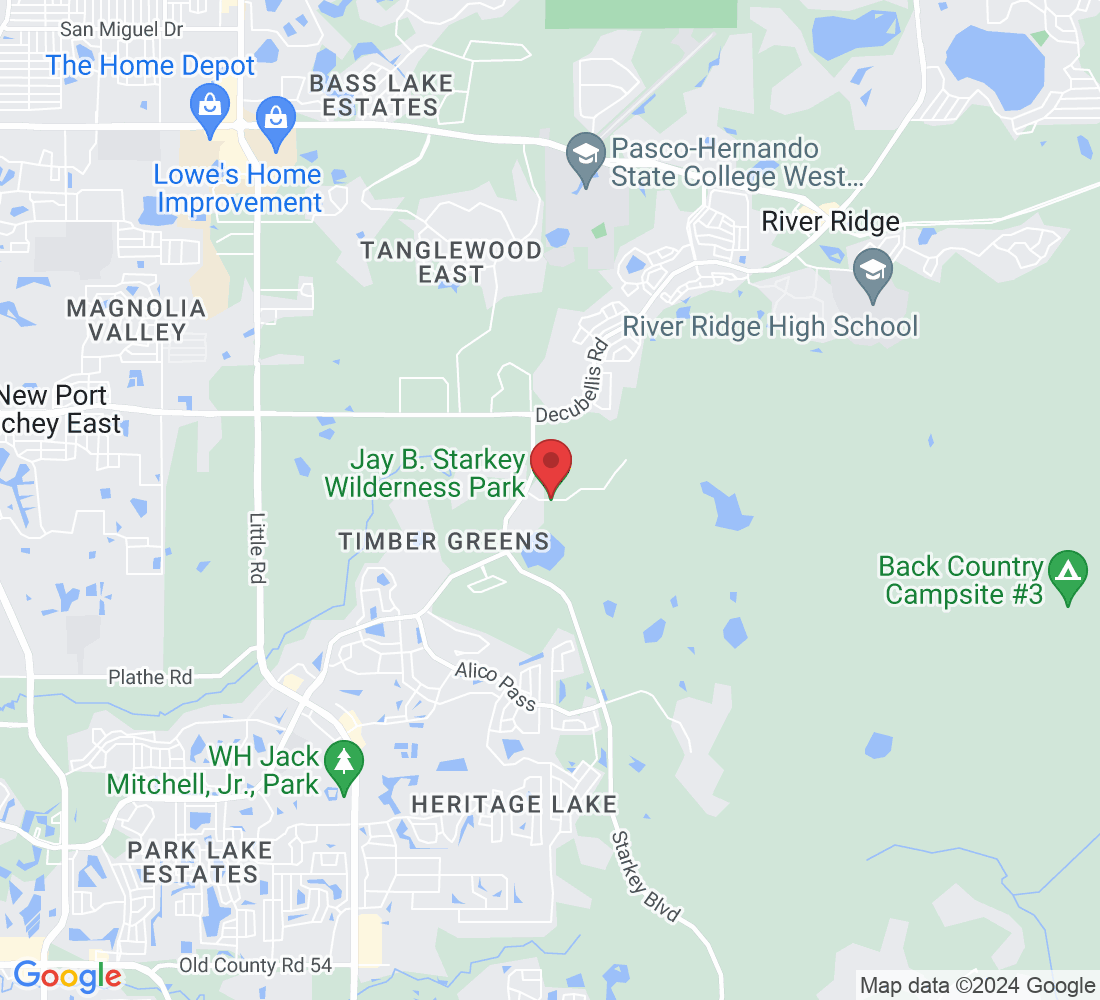 10500 Wilderness Park Blvd, New Port Richey, FL 34655, USA