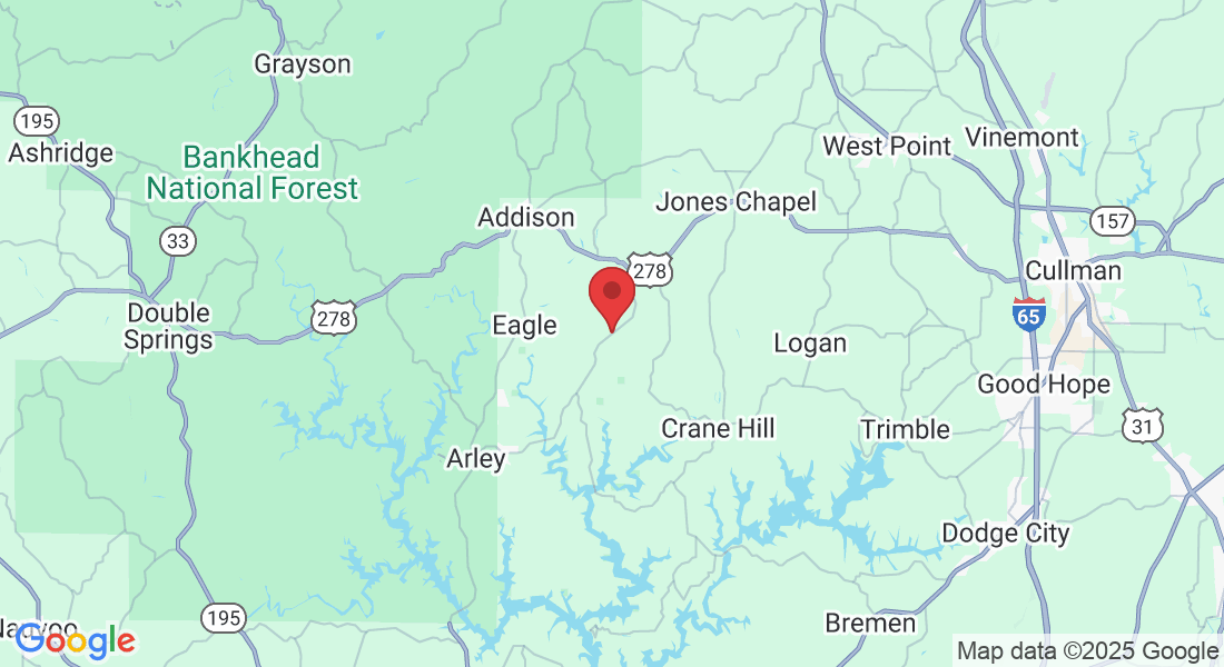 7621 Helicon Rd, Arley, AL 35541, USA