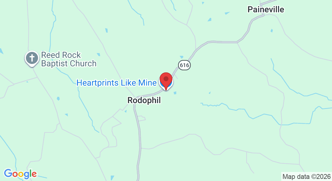 24501 Genito Rd, Amelia Court House, VA 23002, USA