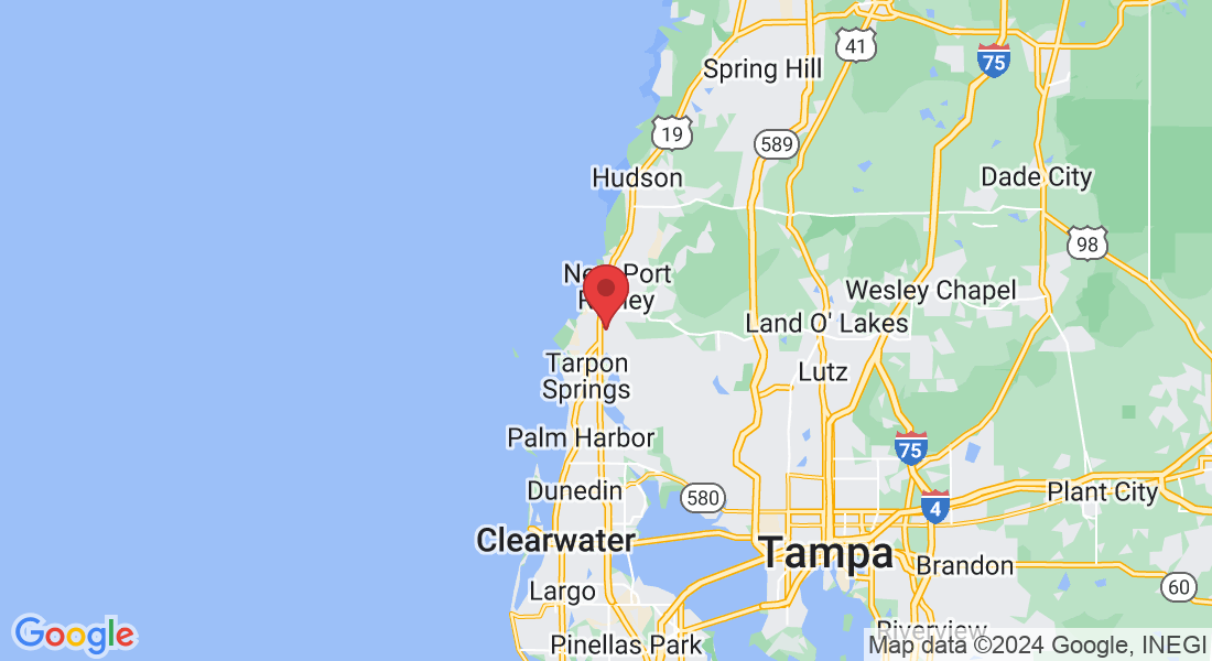 4923 Darlington Rd, Holiday, FL 34690, USA