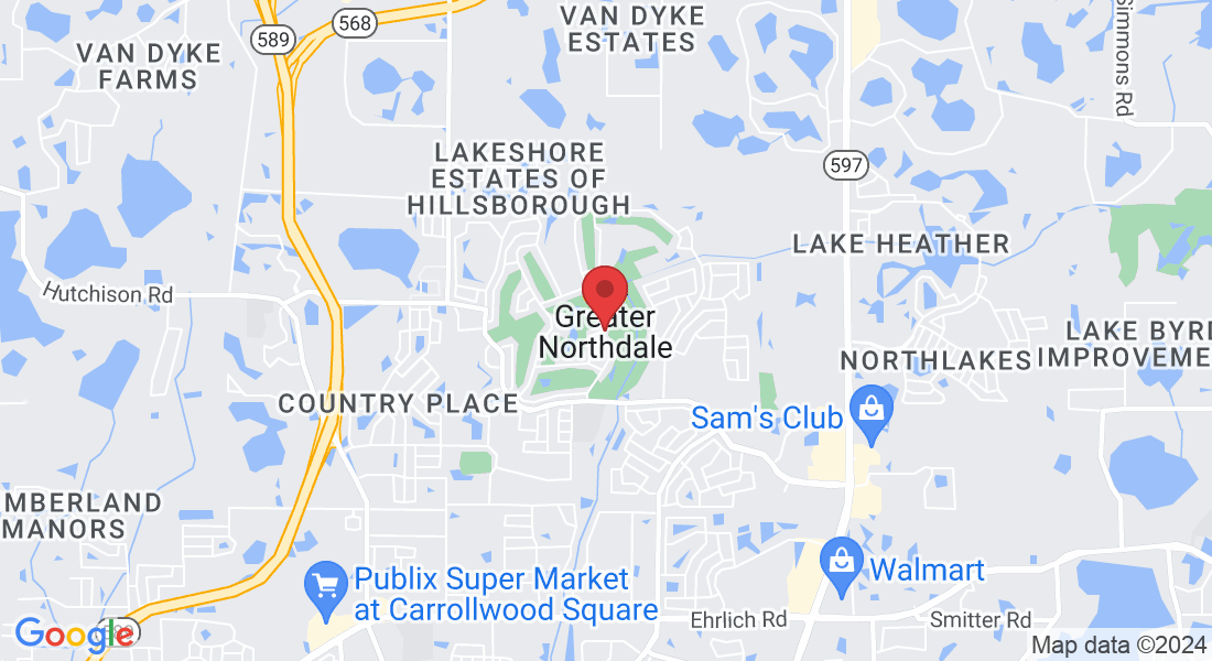 Greater Northdale, FL, USA