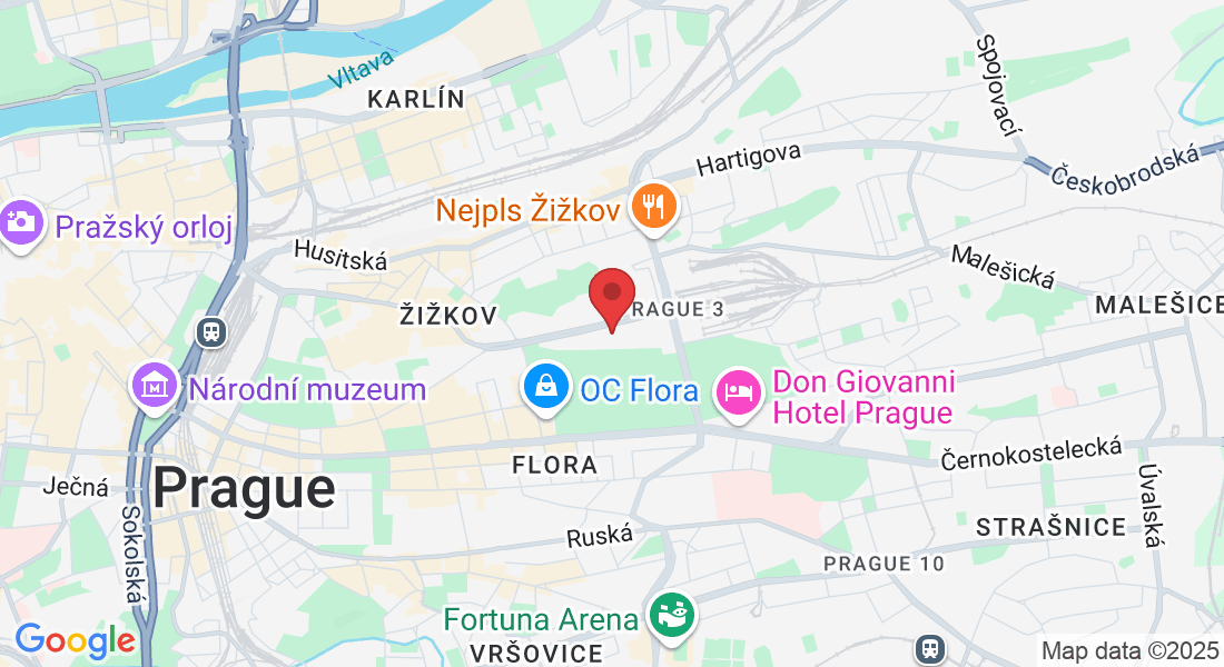 4, Olšanská 2898, 130 00 Praha 3-Žižkov, Czechia