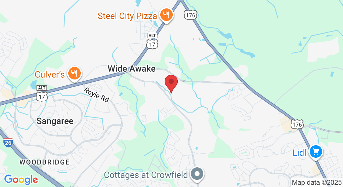 317 Pendarvis Ln, Summerville, SC 29486, USA