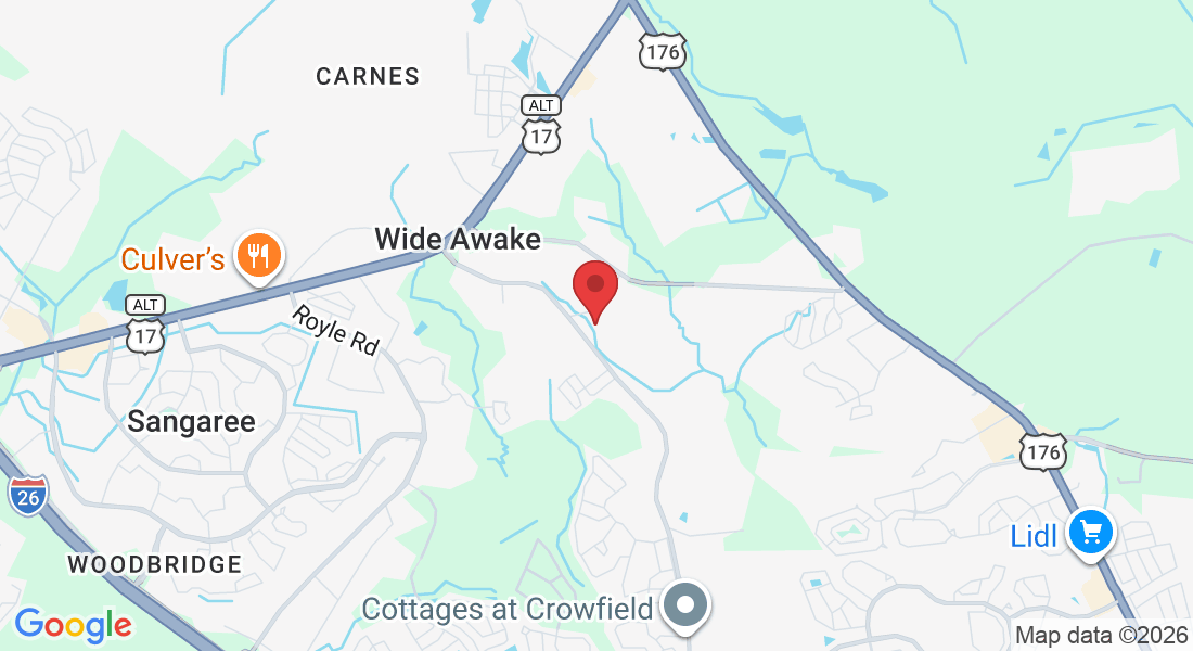 317 Pendarvis Ln, Summerville, SC 29486, USA