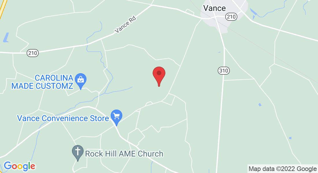 160 Burgundy Trail, Vance, SC 29163, USA