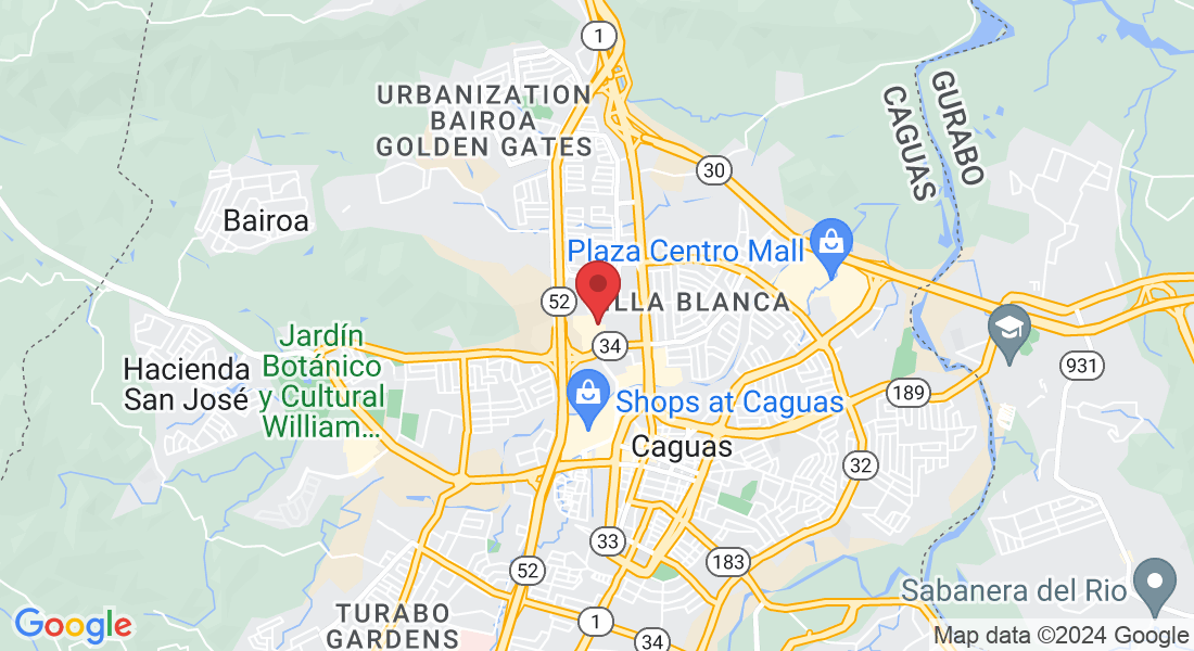 Park, PR-196, Caguas, 00725, Puerto Rico