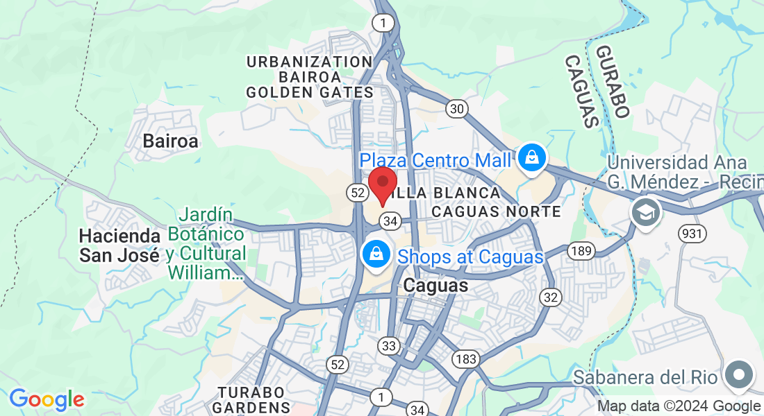 Park, PR-196, Caguas, 00725, Puerto Rico