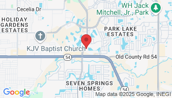 4136 Rowan Rd, New Port Richey, FL 34653, USA