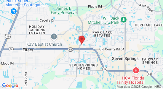 4136 Rowan Rd, New Port Richey, FL 34653, USA
