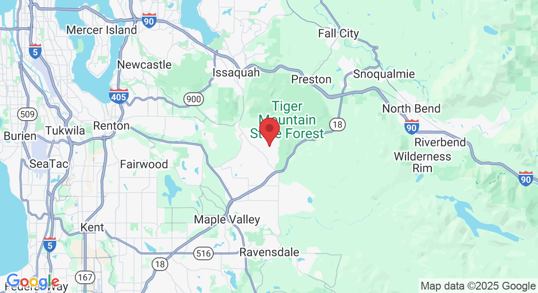 15843 266th Ave SE, Issaquah, WA 98027, USA