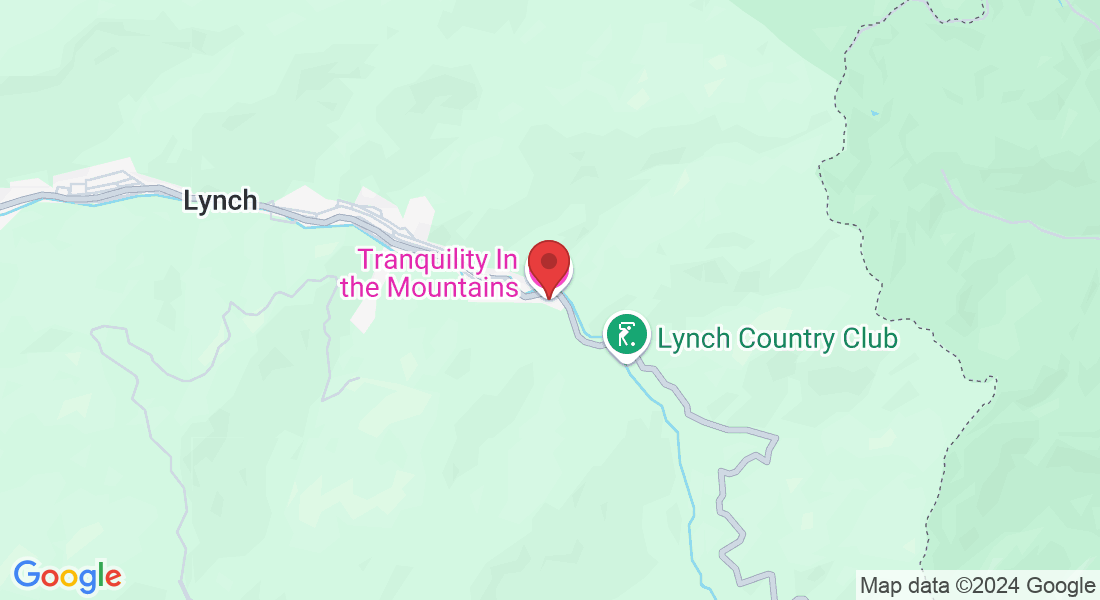 568 E Main St, Lynch, KY 40855, USA