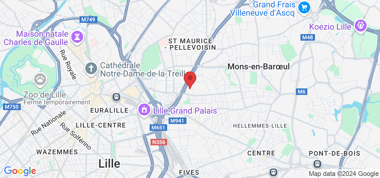 138 Rue Louise Bourgeois, 59800 Lille, France