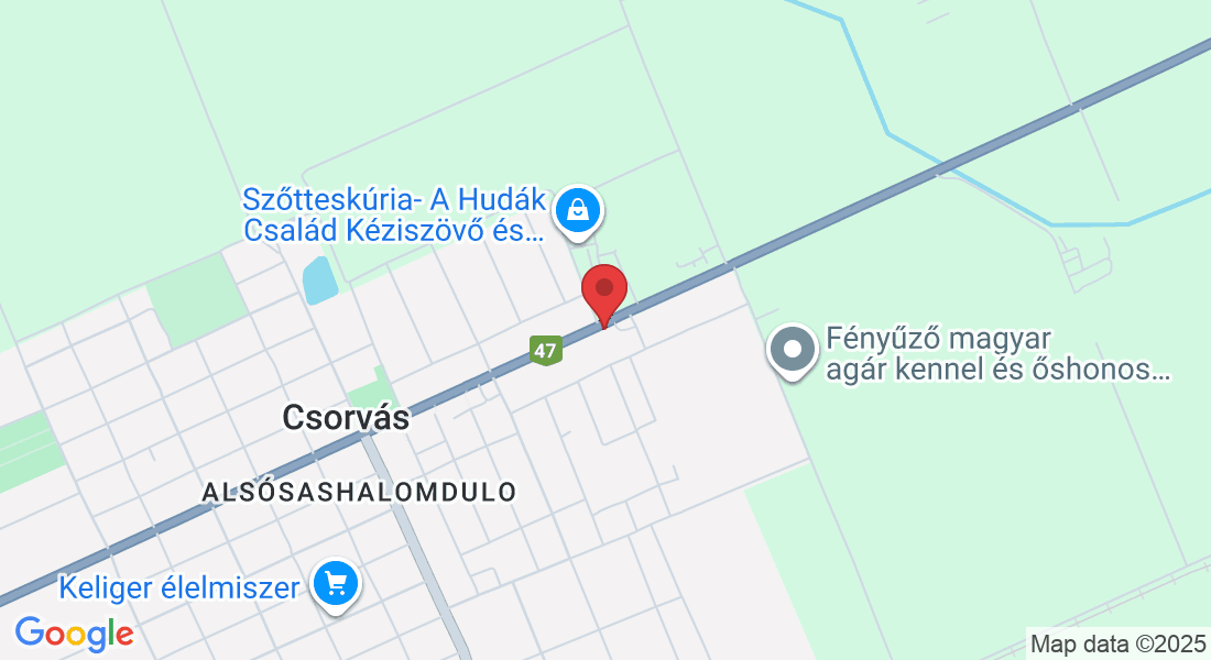 Csorvás, Békéscsabai u. 31, 5920 Magyarország