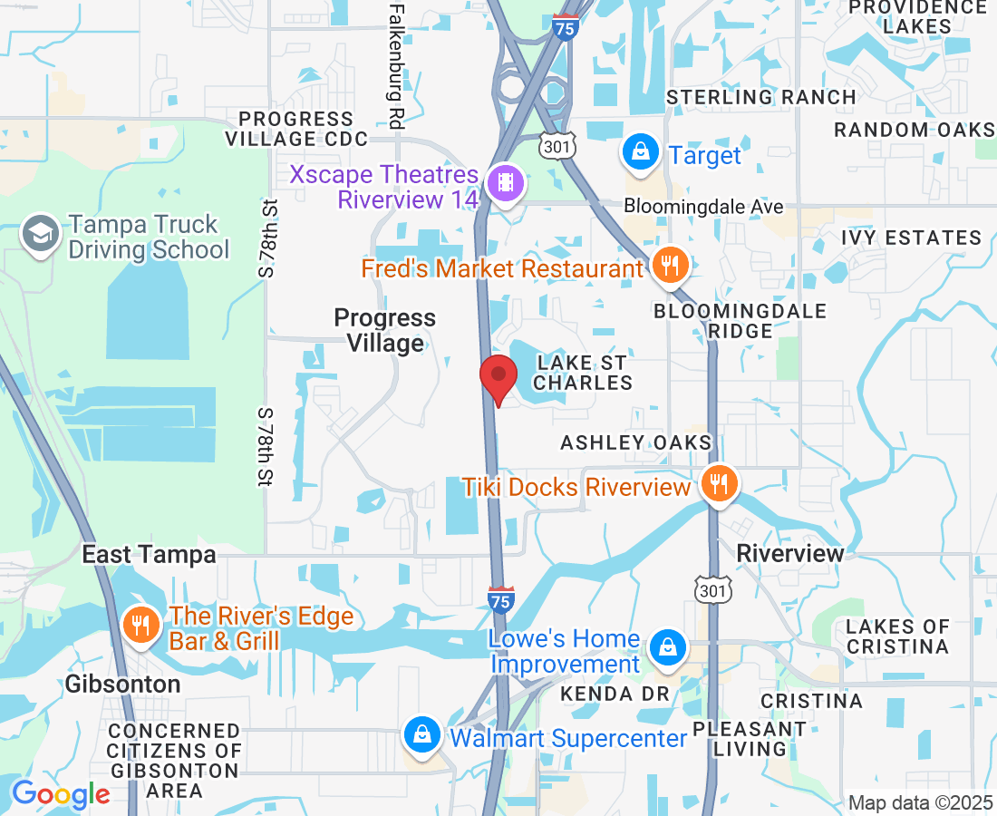 7111 Colony Pointe Dr, Riverview, FL 33578, USA