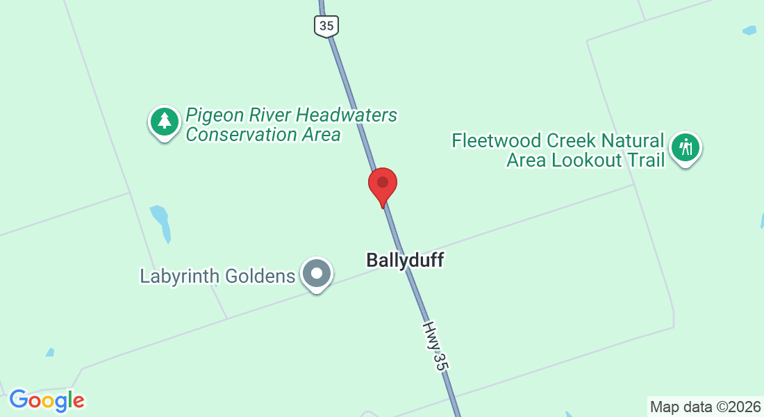785 Hwy 35, Kawartha Lakes, ON L0A 1K0, Canada